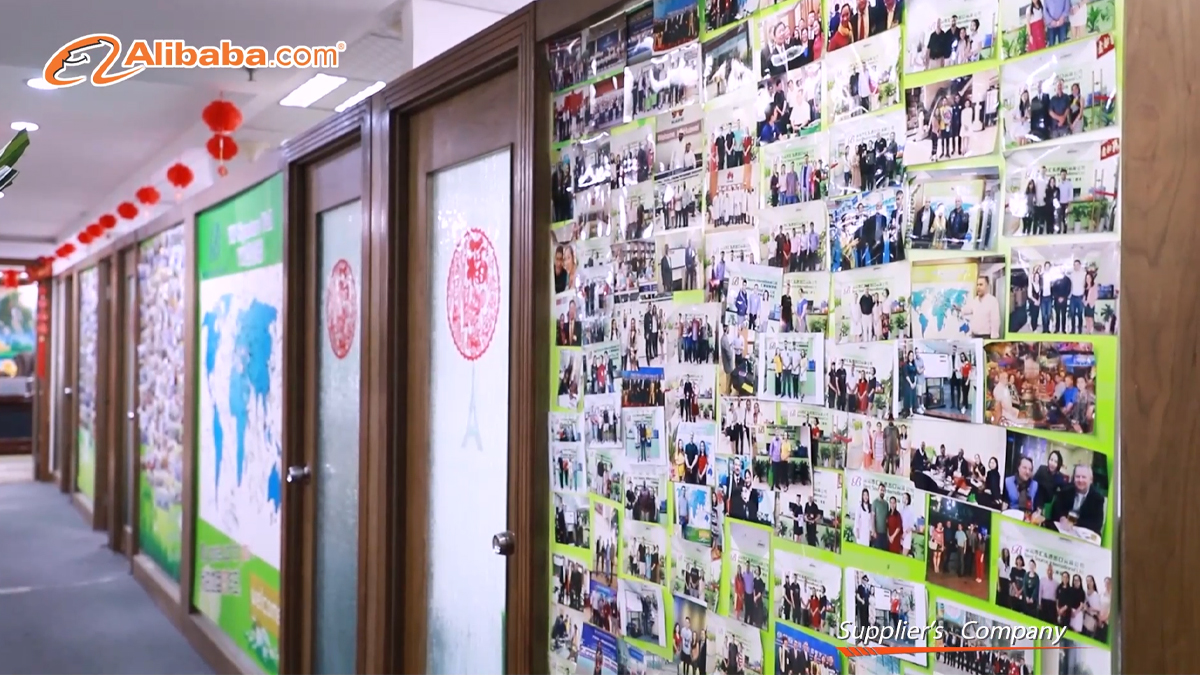Shenzhen Century Health Medical Technology Co., Ltd. factory image 2