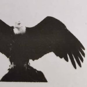 Company icon