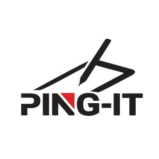 Shenzhen Pengyi Computer System Co., Ltd. logo