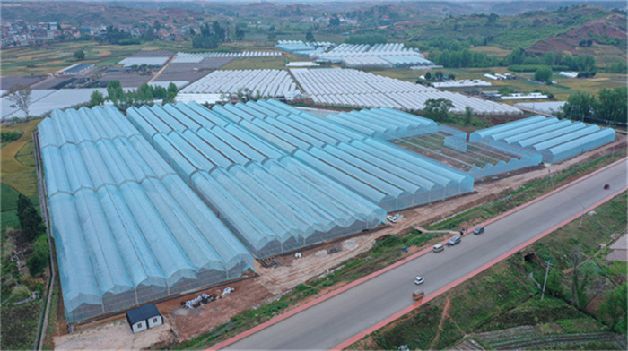 Shilin Hualai Preserved Flowers Ltd., Co. factory image 6