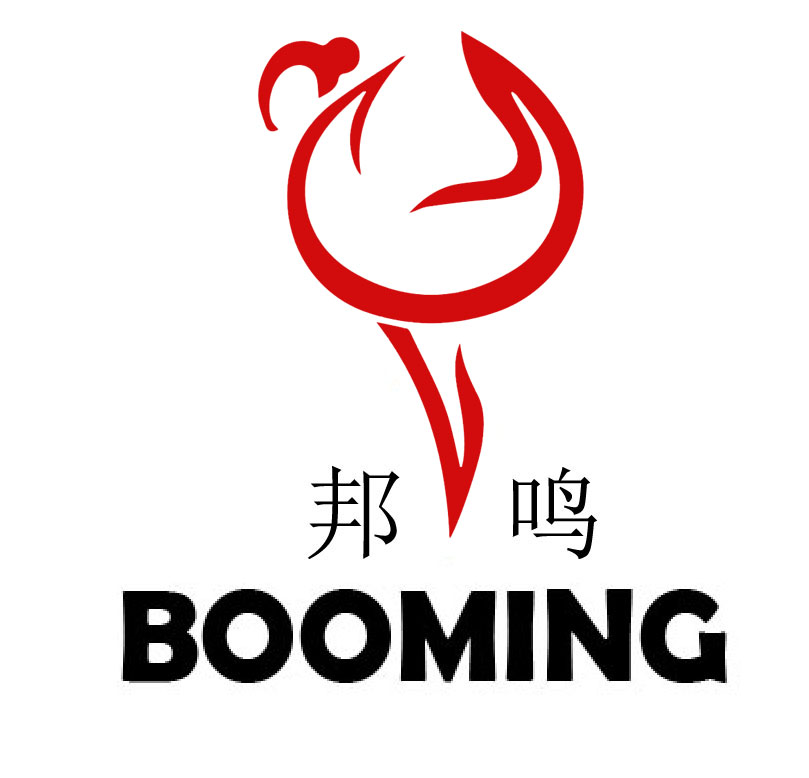 Dongguan Booming Electric Industrial Co., Ltd. logo