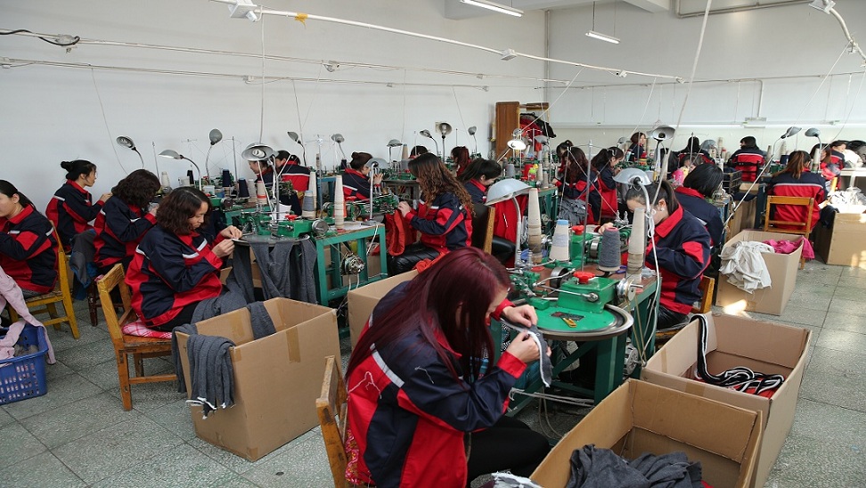 Inner Mongolia Sunnyflare Cashmere Co., Ltd. factory image 3