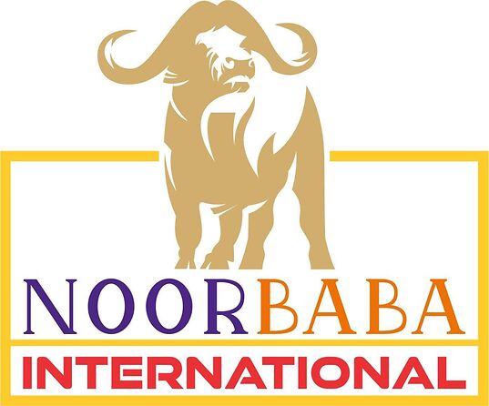 Noor Baba International Viking drinking horn