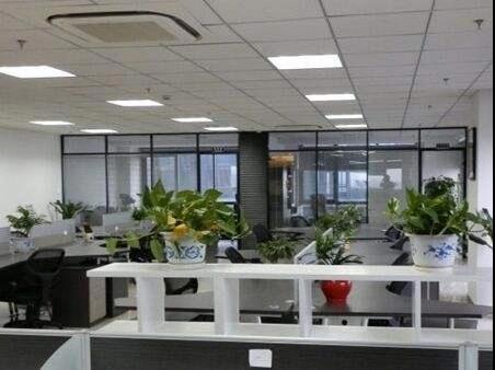 Shenzhen Grand View technology Co.Ltd. factory image 1