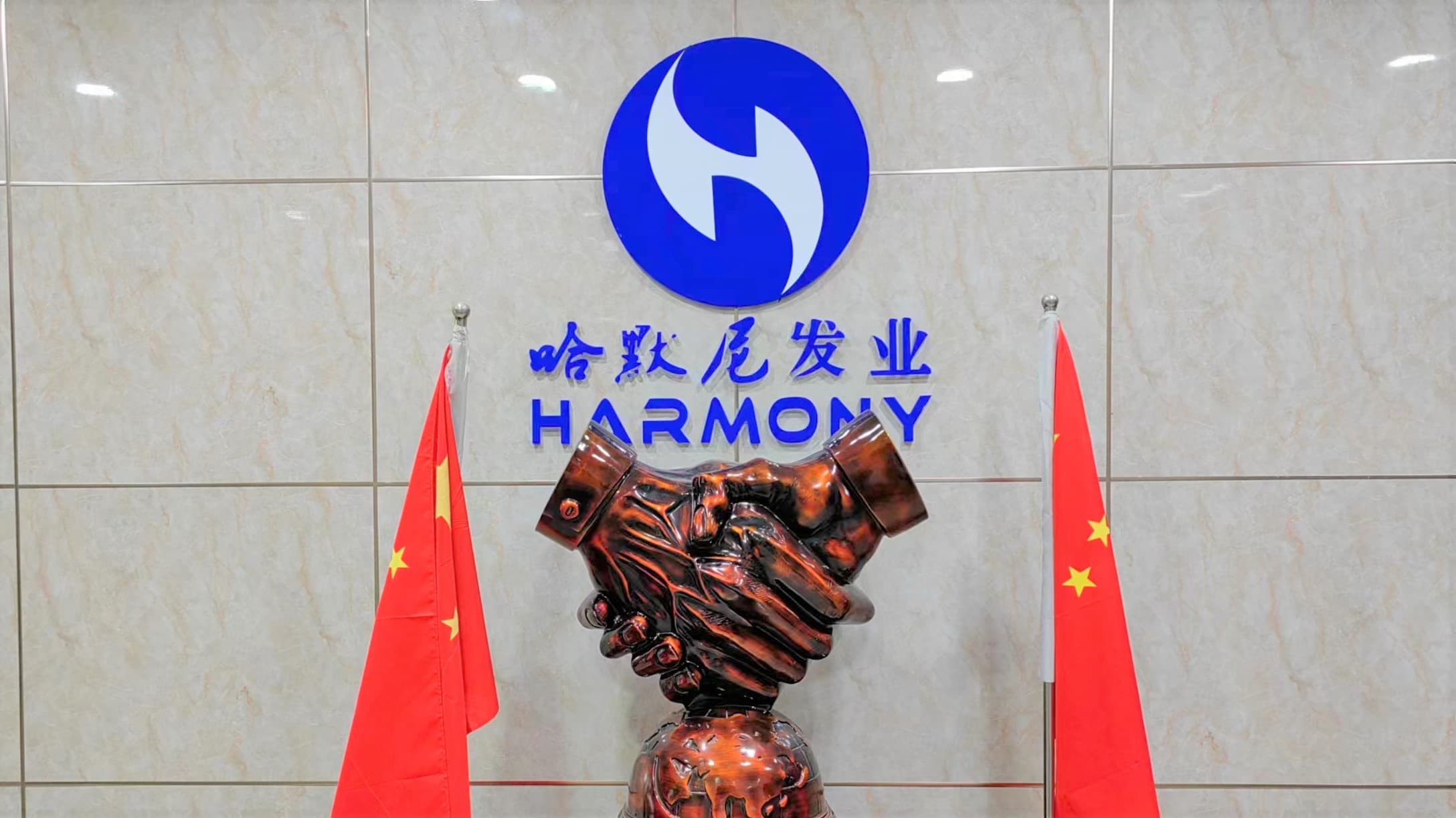 Xuchang Harmony Hair Products Co., Ltd. factory image 2