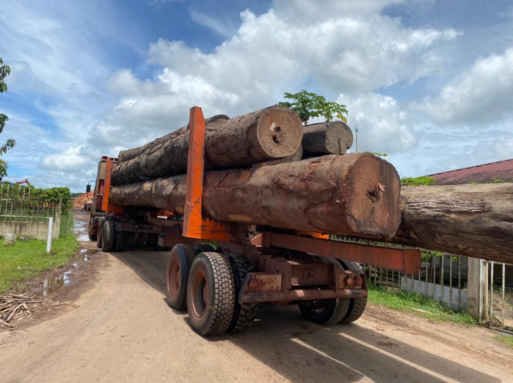 Exotic Wood Source Tropical Hardwood