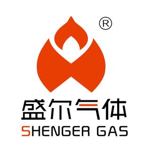 Company icon