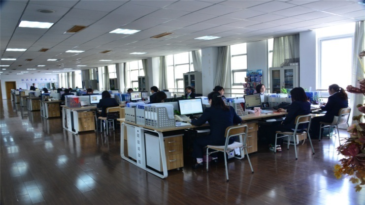 Ningbo Kaili Holding Group Co., Ltd. System Razor