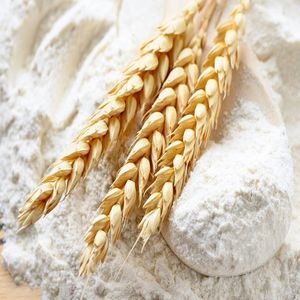 Organic White Natural Wheat Flour