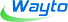 Shenzhen Wayto Technology Co., Ltd. logo