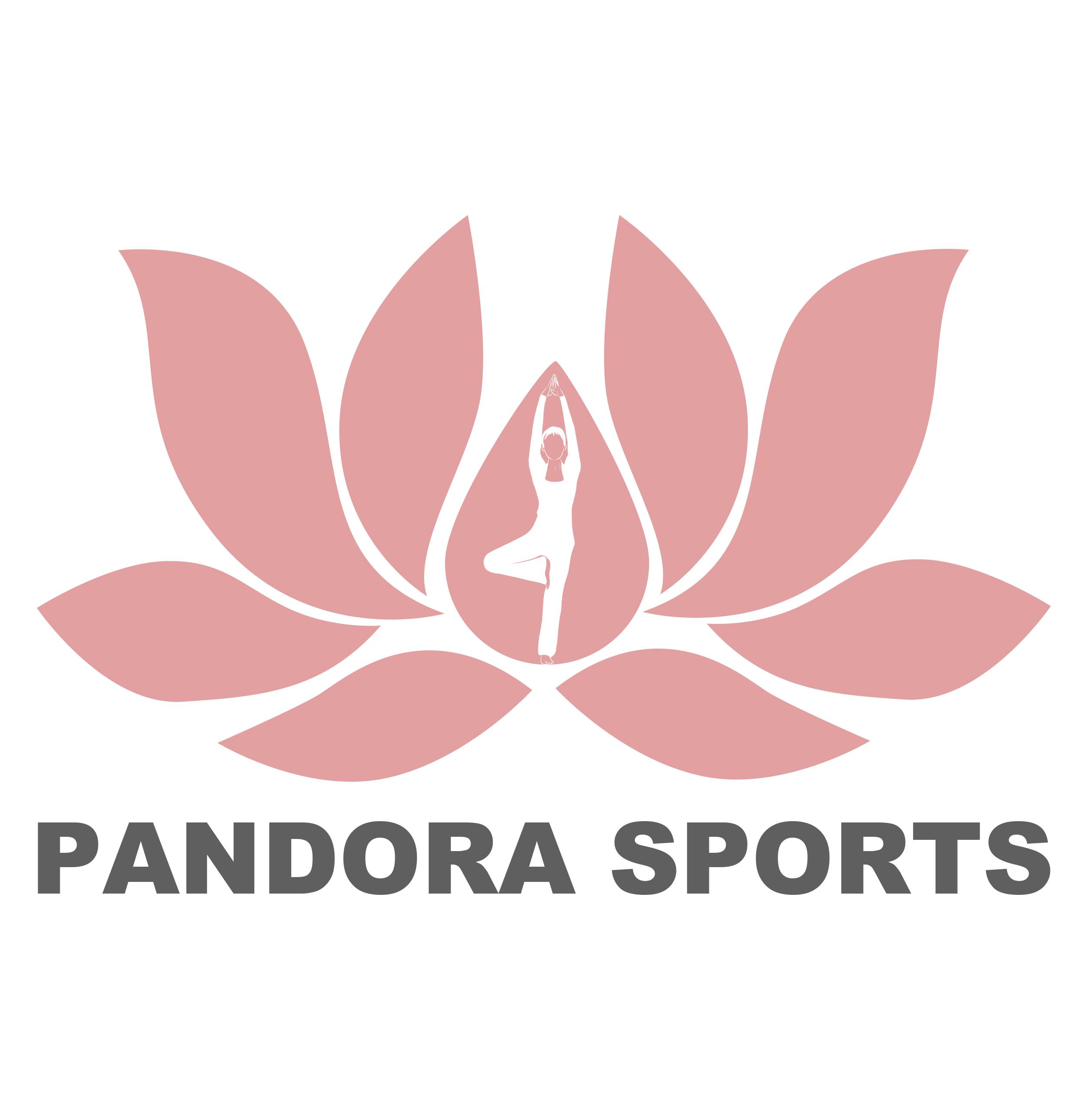 Shenzhen Pandora Sports Technology Co., Ltd. logo