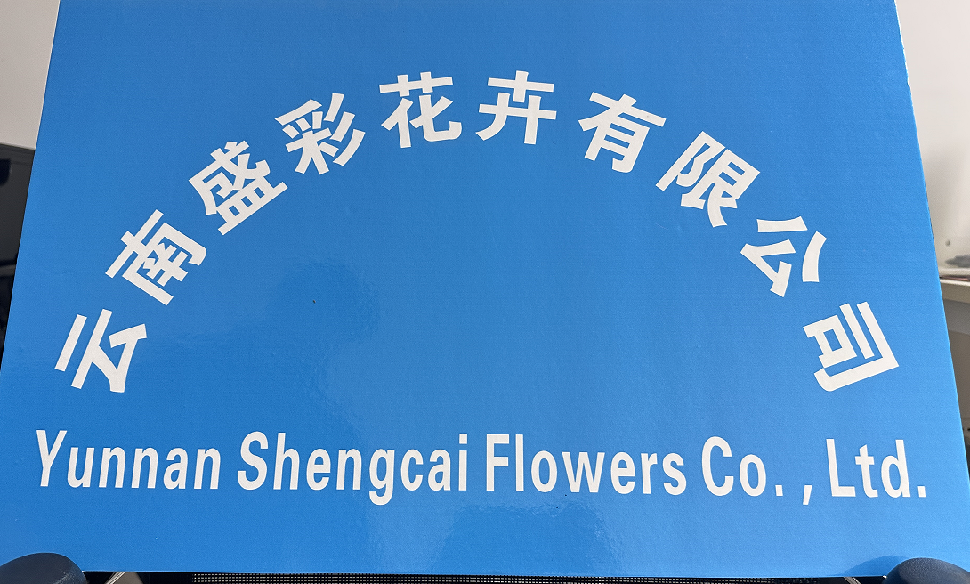 Yunnan Sheng Cai Flower Co., Ltd. factory image 1