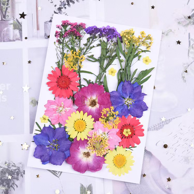 Caijun Import & Export (yunnan) Co., Ltd. Real Plant Dried Flowers Branches Leaves Mixed Materials Diy Handmade Bookmarks Candles Nail Art Petal Makeup Specimen Materials