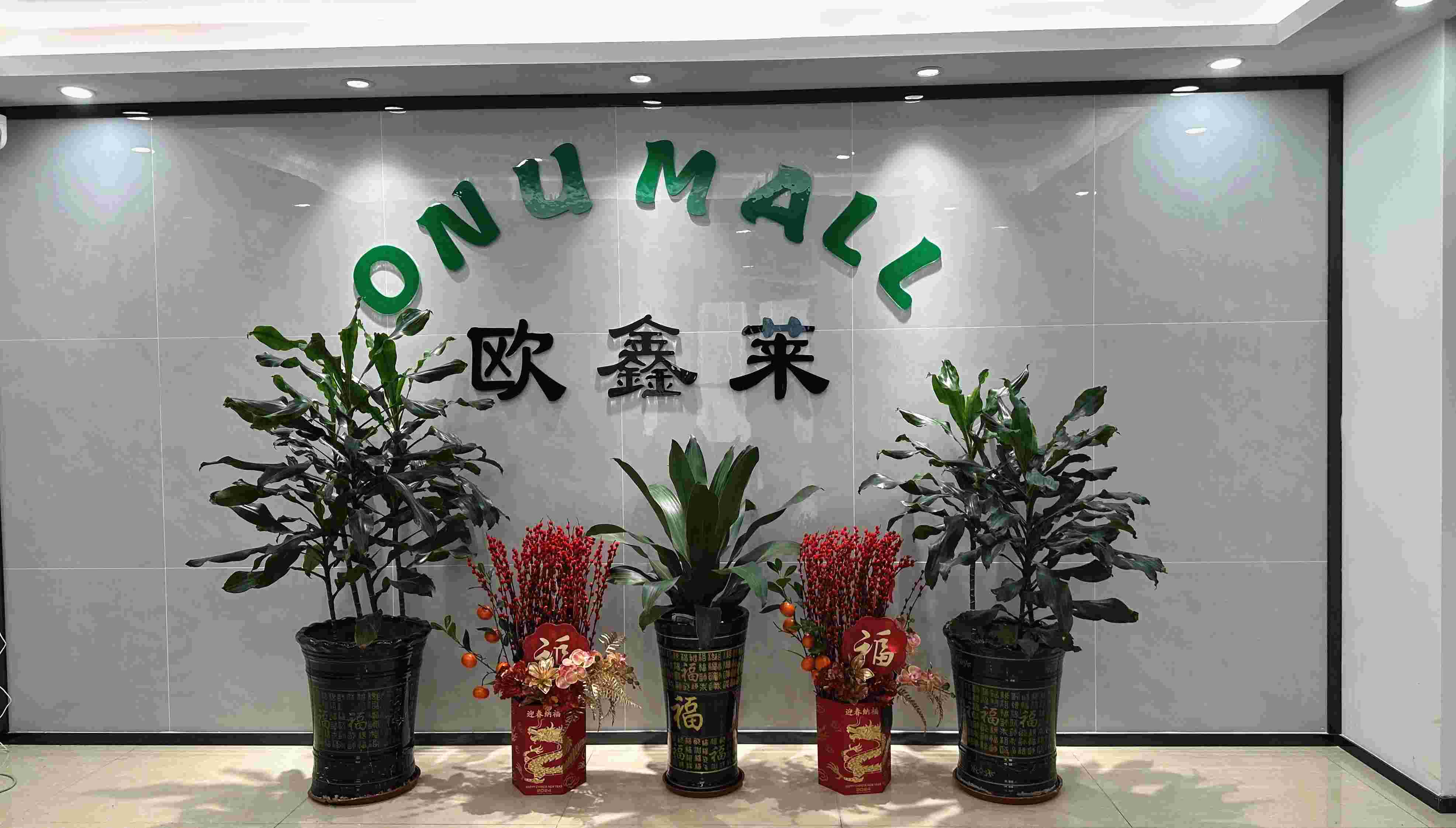 Shenzhen ONU Mall Technology Co. Ltd Hair Straightener