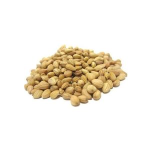 Best Price Mahaleb and Natural Spices Powder from Turkey