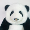Shenzhen Yucai Toys Industries Co., Ltd. logo