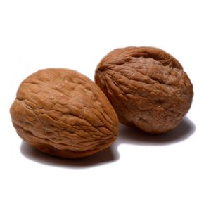Raw organic bulk nuts white walnuts in shell
