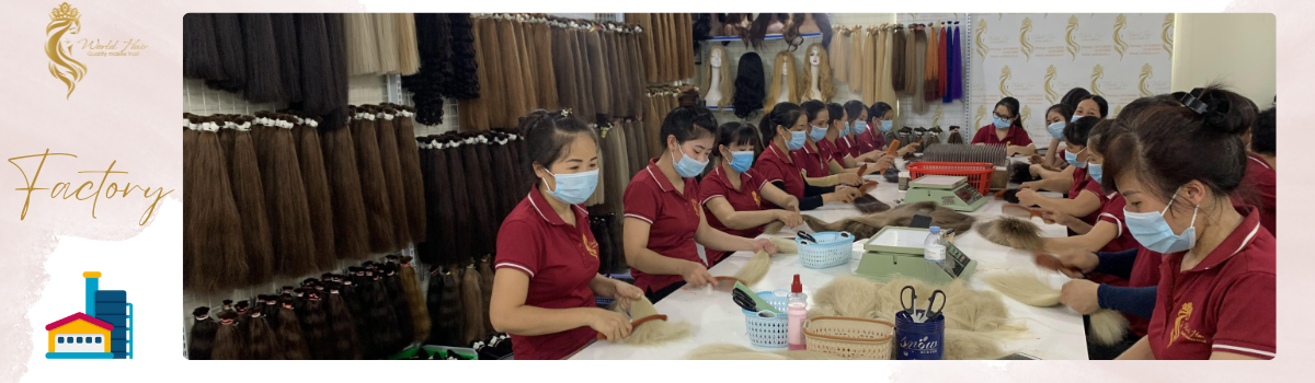 World Hair Import Export Joint Stock Company Hair Extensions