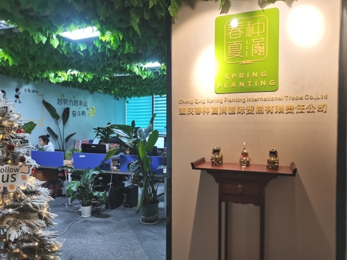 Chongqing Spring Planting International Trade Co., Ltd. Artificial Flower Series