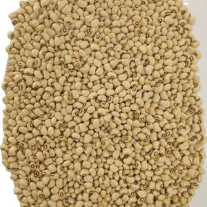 Brown eye bean Cowpea Black Eye Bean Lobiya feijao Human consumption Dried imported machine cleaned processed cowpea
