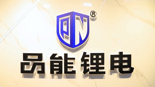 Jiangsu Pineng Electric Tools Co., Ltd. Cordless Drill