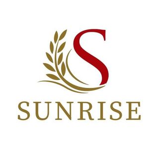 Company icon