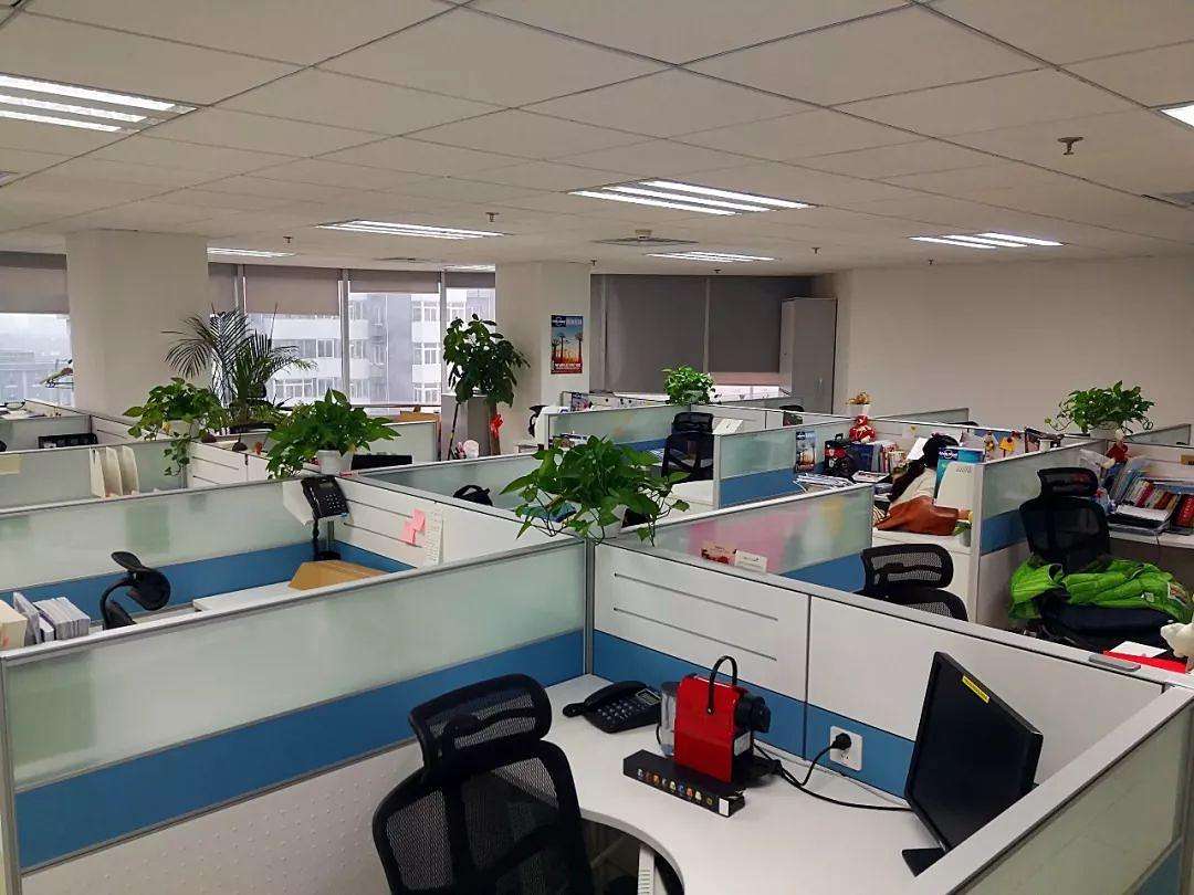 Guangzhou Meiyanuo Biotechnology Co., Ltd. Shampoo