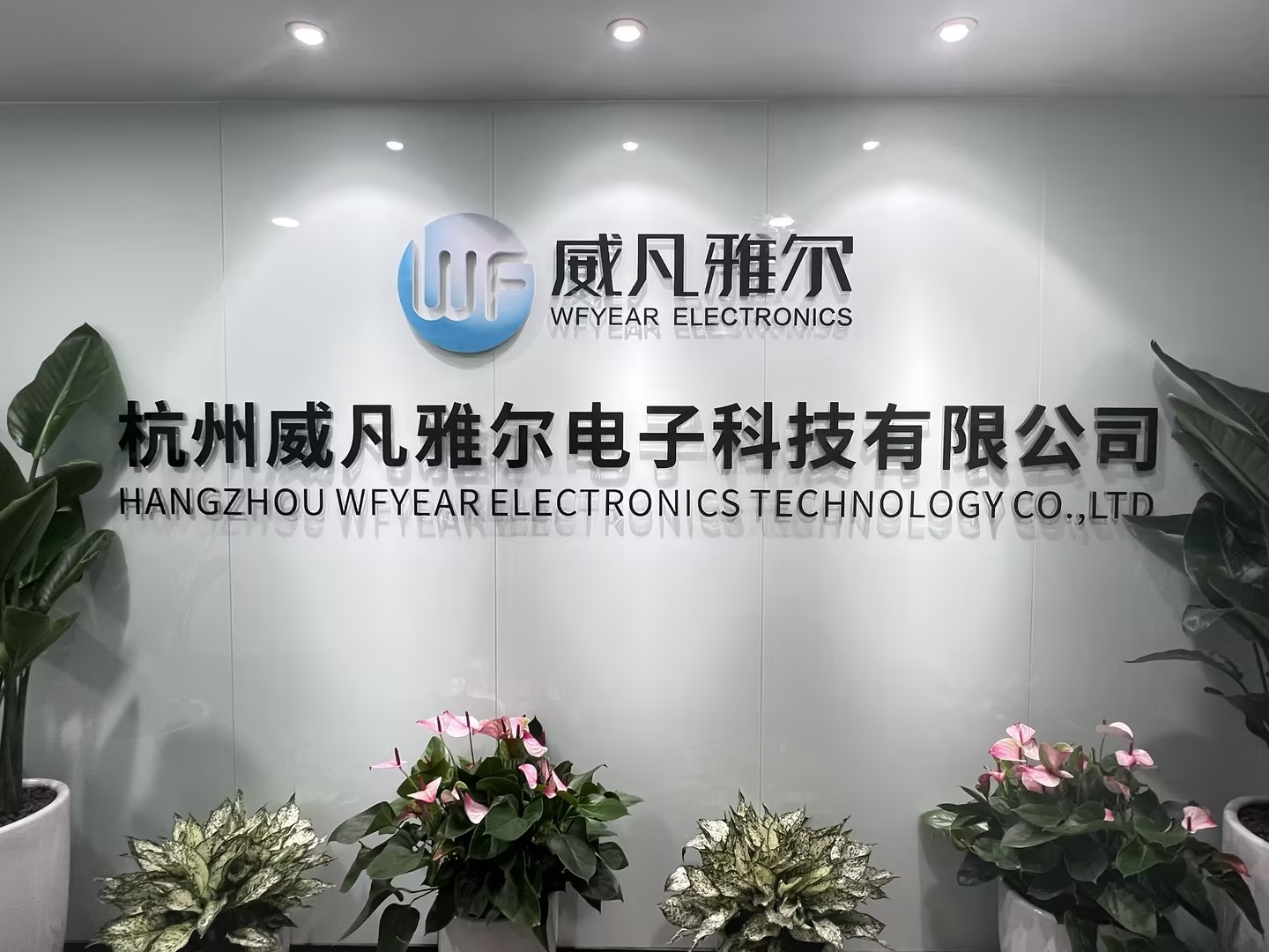 Hangzhou Wfyear Electronics Technology Co., Ltd. factory image 2
