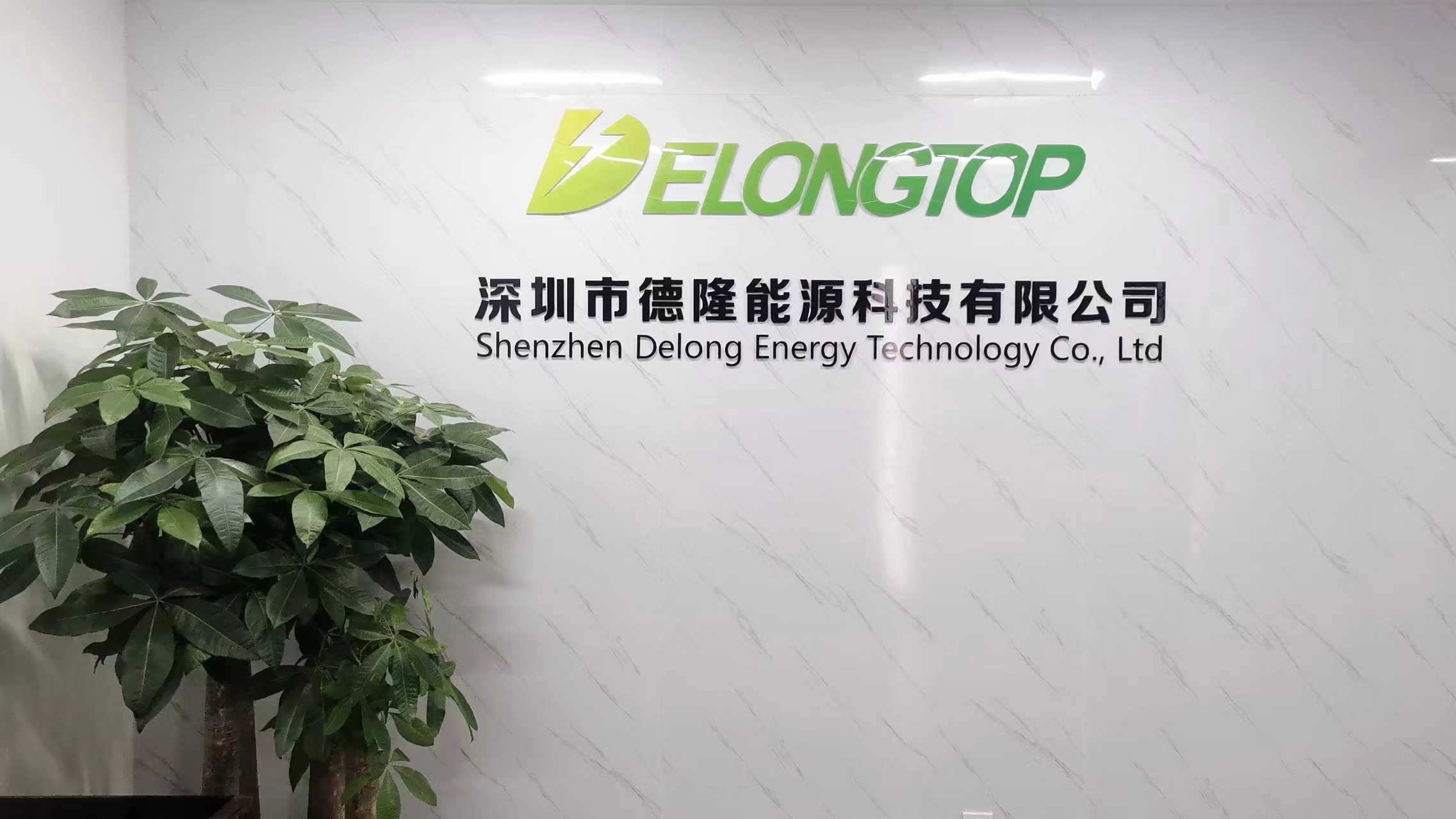 Shenzhen Delong Energy Technology Co., Ltd. Lithium Ion Battery Pack