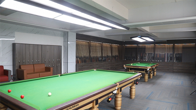 Zhejiang Jianying Billiards Co., Ltd. Billiard Table