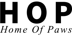 Company icon