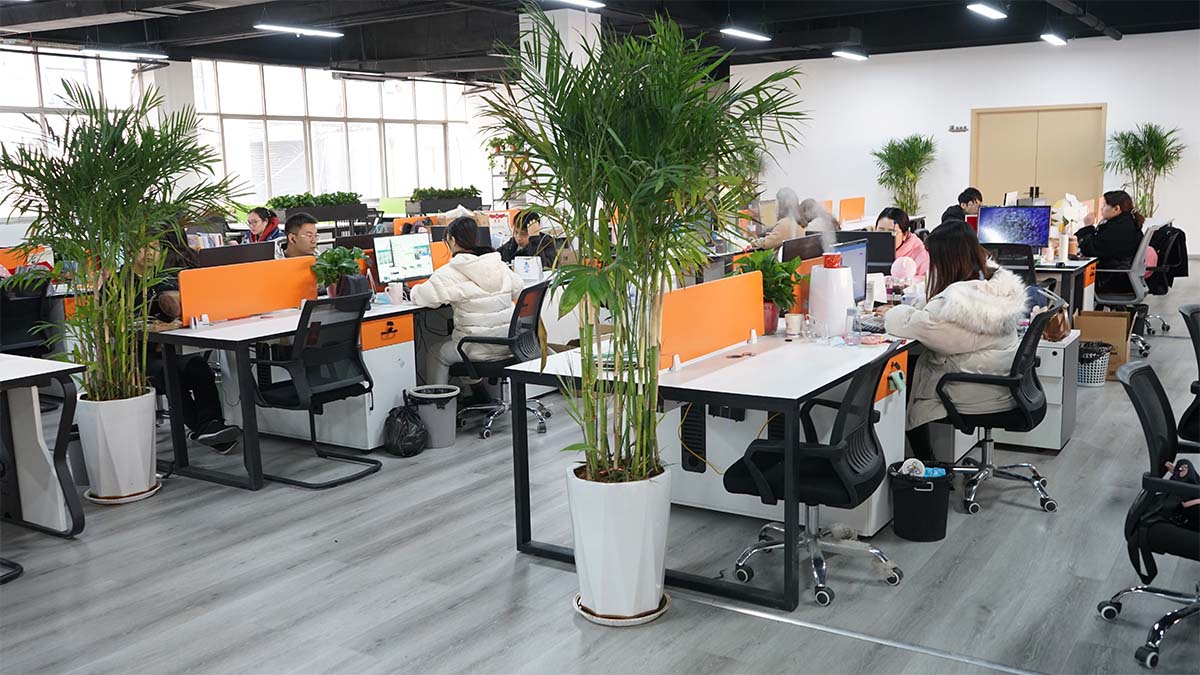 Henan Lunyee Industrial Automation Equipment Co., Limited DC Motors