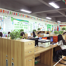 Guangdong Bihui Lighting Technology Co., Ltd. Solar LED street light