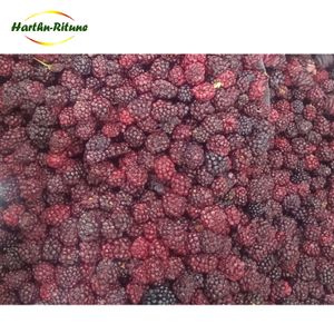 China Supplier Dried Blackberry Whole Freeze Dried Blackberries Fruits