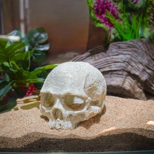 High Quality Resin Skull Reptile House Pet Escape House Hollow Landscape Decoration Aquarium Fish Tank Decoration