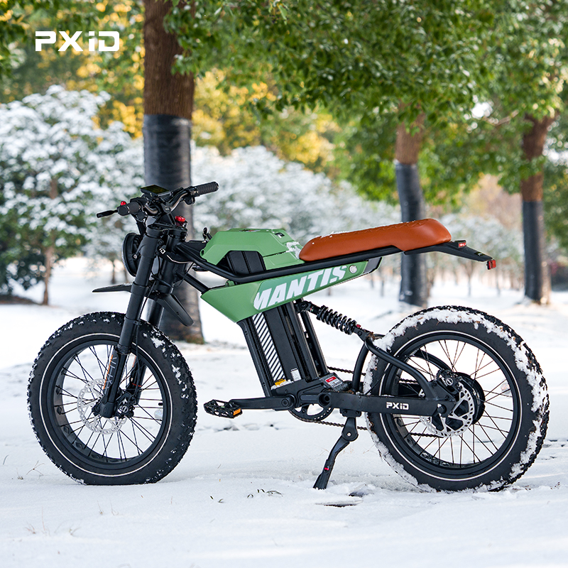 Huaian PX Intelligent Manufacturing Co., Ltd. Wholesale PXID MANTIS P6 20 inch best fatbike 750w 1200w electric mountain bike full suspension e bicycle mtb