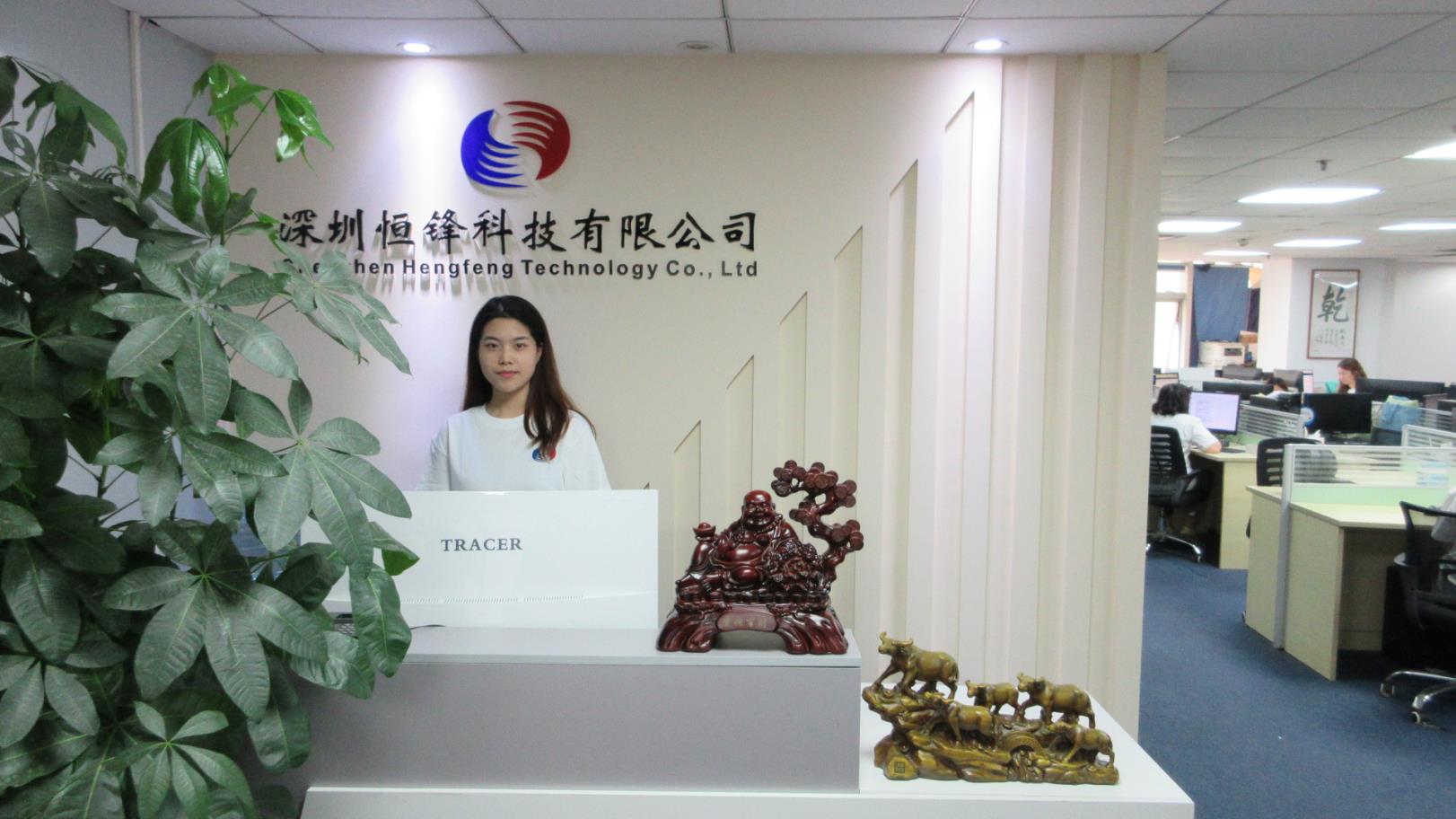 Shenzhen Hengfengyi Technology Co., Ltd. Matte Lipstick