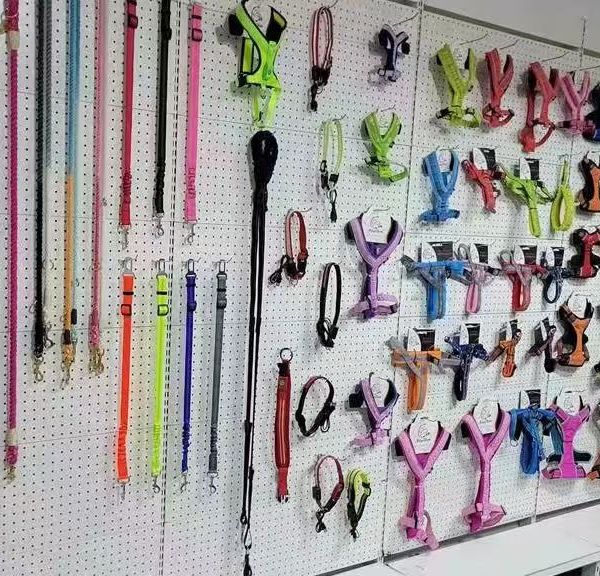 xtph2CY1ELf0GgG54MwliaU4qb1OVlBmQMK4dhEHwAFamzpV4heq2MubKkwH6QKi.jpg