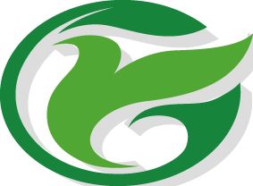 Company icon