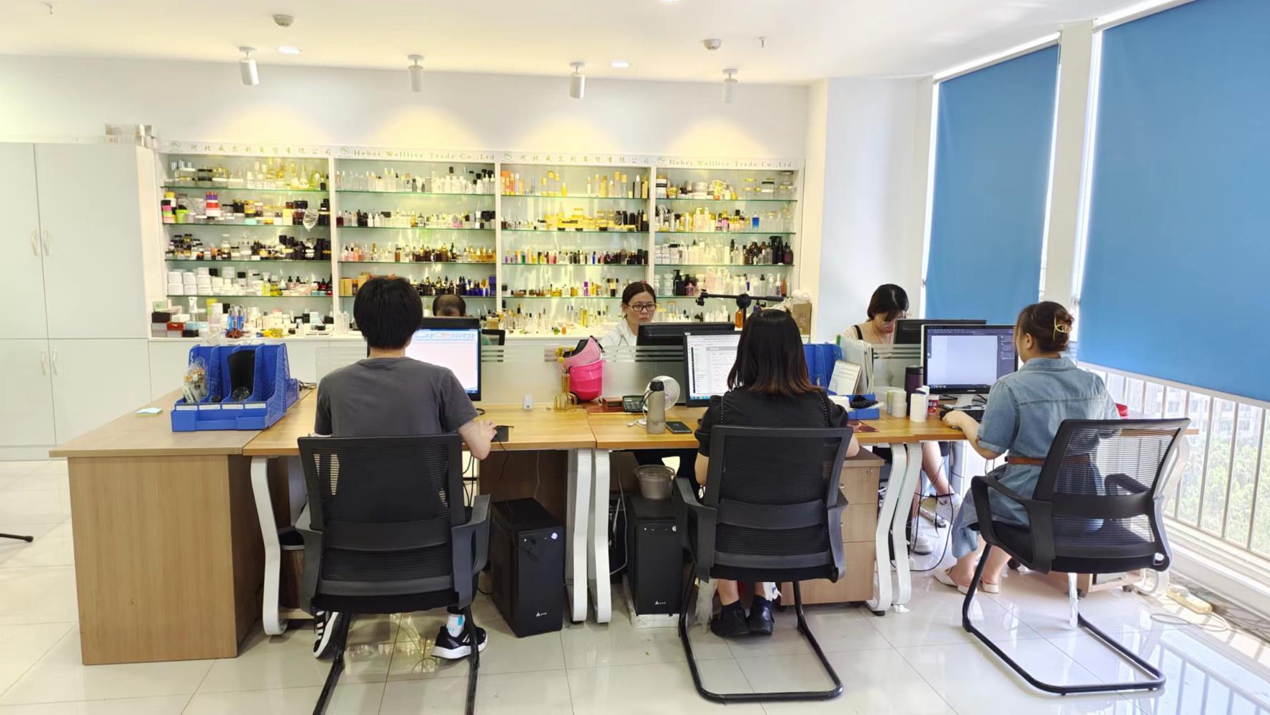 Hebei Welllive Trade Co., Ltd. factory image 2