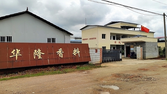 Jiangxi Hualong Plant Spice Co., Ltd. Fragrance Oil