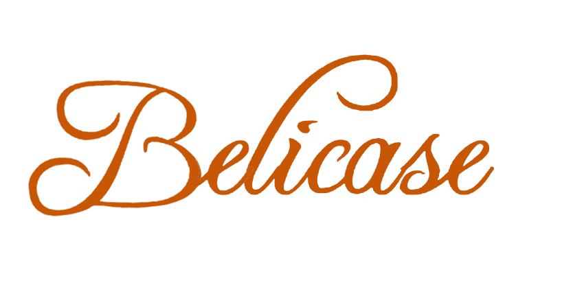 Shenzhen Belicase Co., Ltd. logo