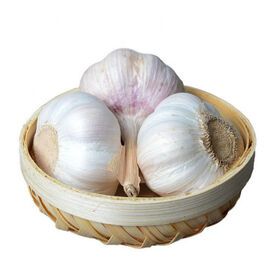 Export Chinese Fresh Garlic High Quality Garlic Wholesale Organic Chinese Normal White Fresh Garlic In Bulk