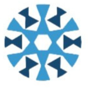 Company icon