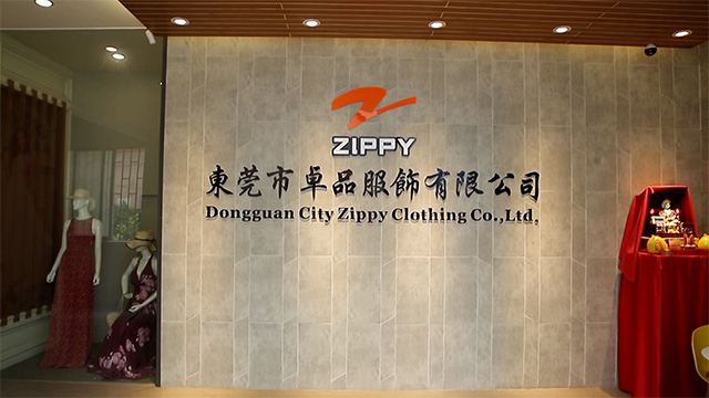 Dongguan City Zippy Clothing Co., Ltd. Women Dress