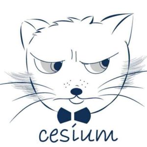 Company icon