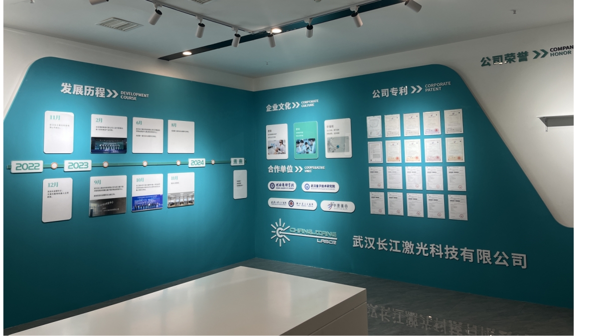 Wuhan Changjiang Laser Technology Co., Ltd. Skin Rejuvenation Instrument