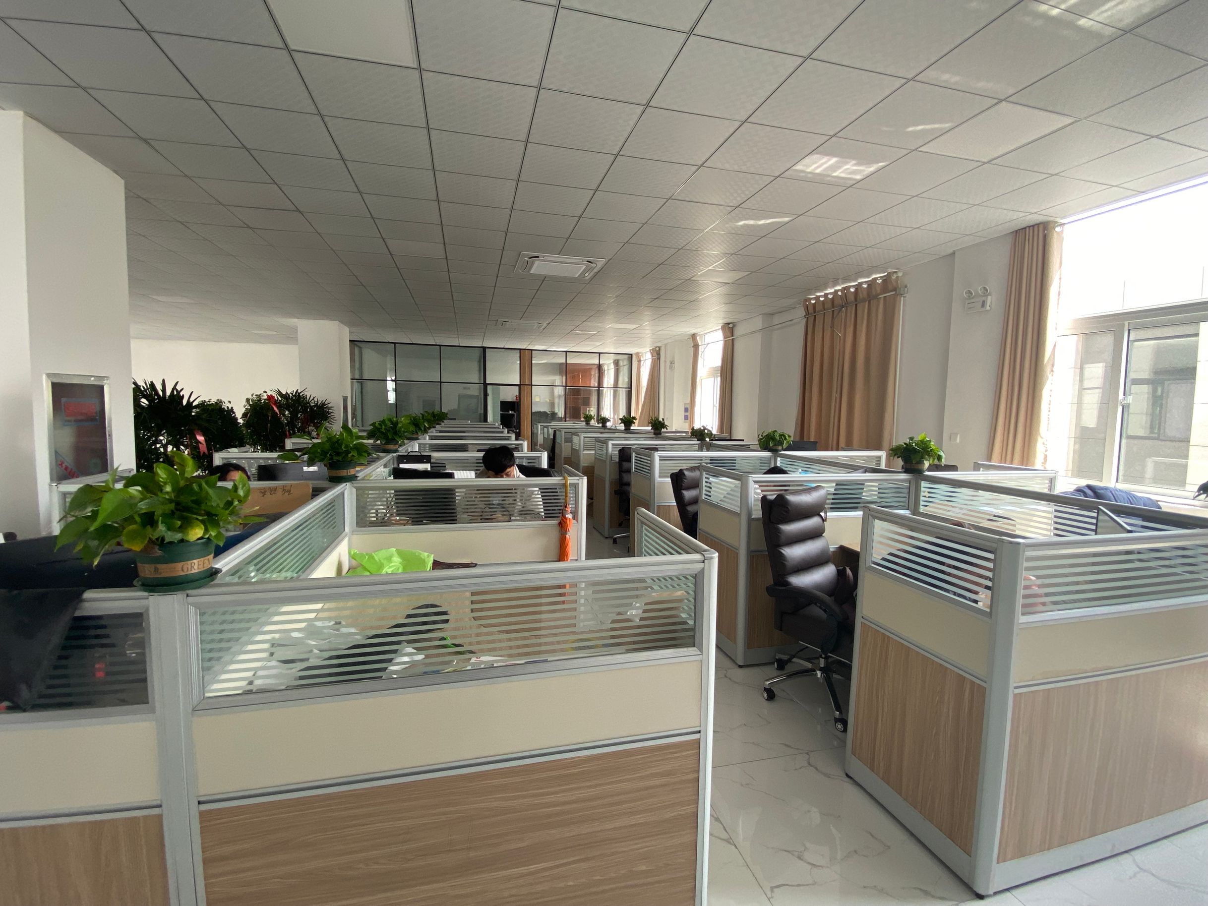 Qingdao Vatti Glass Co., Ltd. Borosilicate Glass