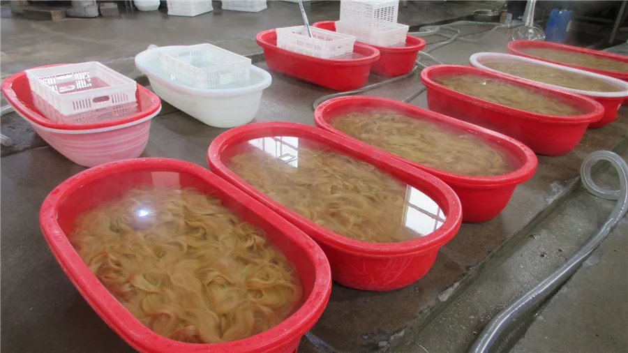 Qingdao Trade Assurance Hair Products Co., Ltd. Remy Hair Extensions
