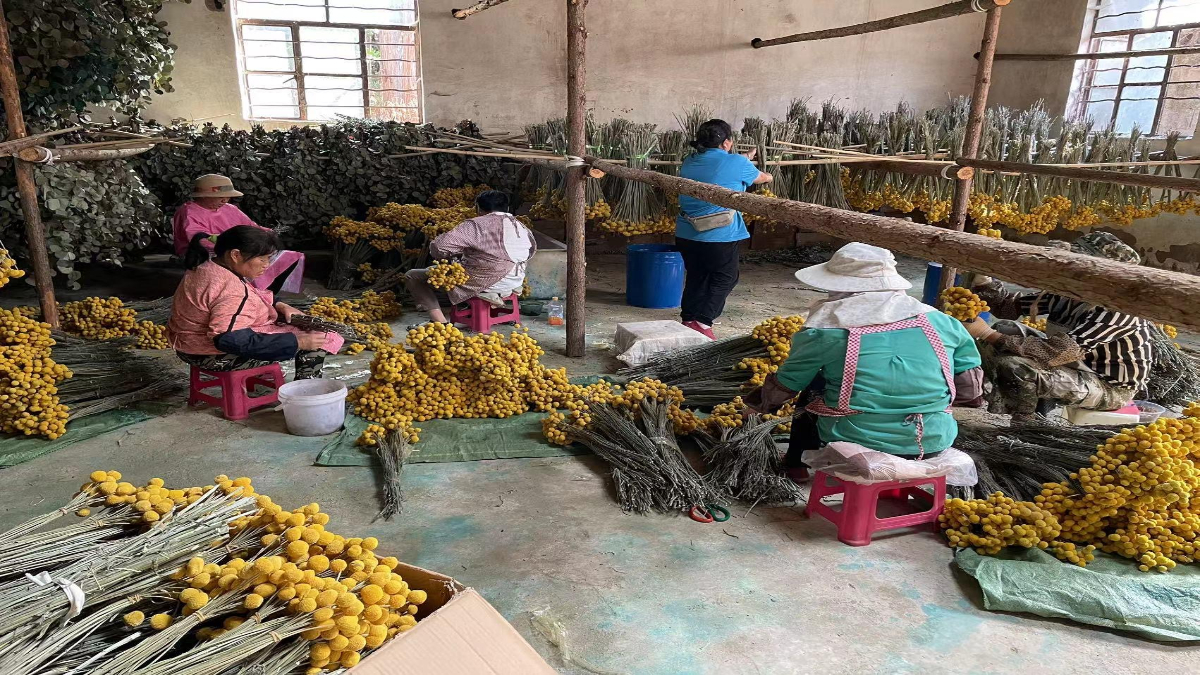 Shenzhen Yitaihe Trade Import And Export Co., Ltd. Artificial Plants